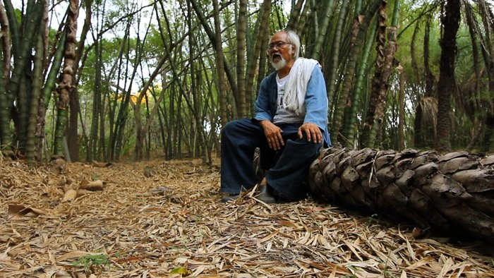 ป่าแห่งธรรม