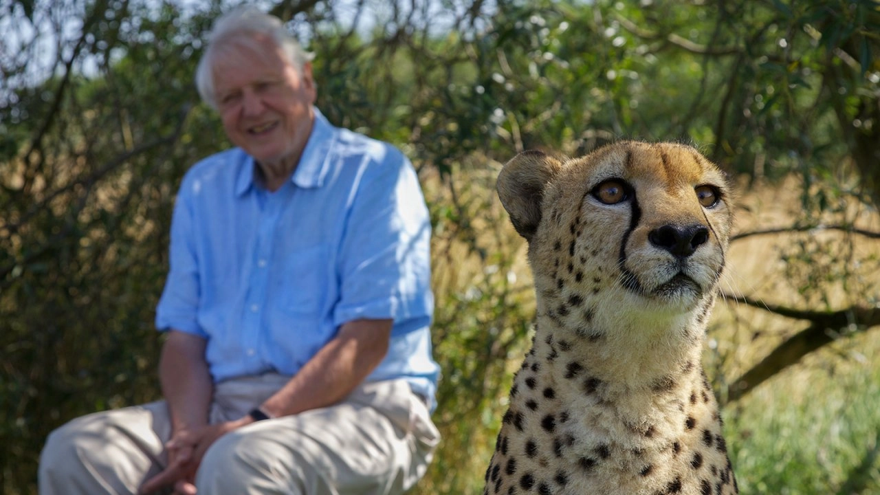 เจาะความลับของธรรมชาติ ตอน สัตว์โลกจอมพลัง และ สัตว์โลกเจ้าปัญญา