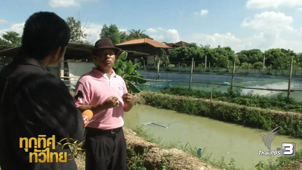 ประเด็นข่าว (31 ต.ค. 59)