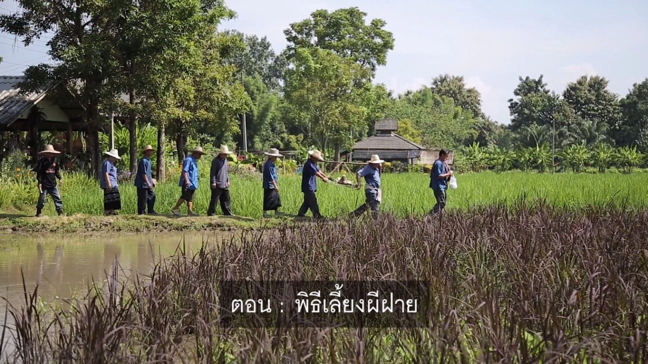 ​พิธีเลี้ยงผีฝาย