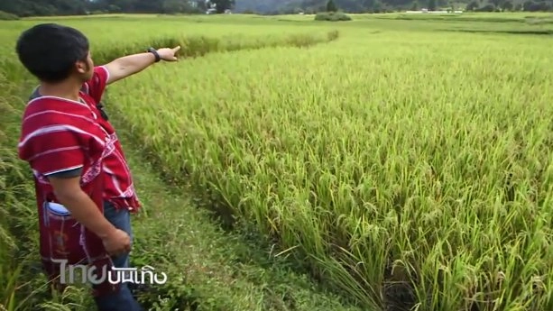 ​ประเด็นข่าว (1 พ.ย.59)