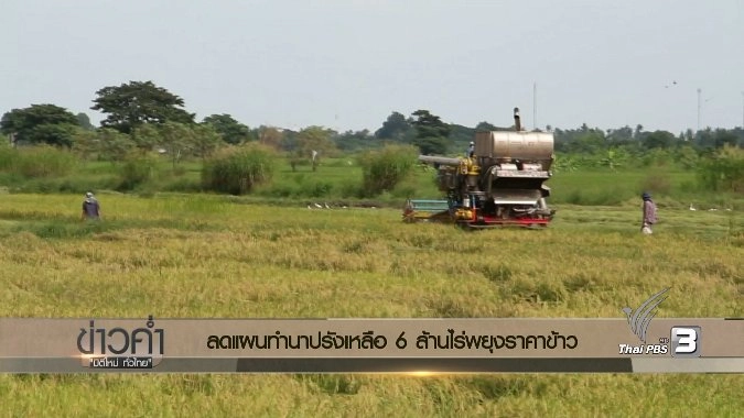 ประเด็นข่าว (4 พ.ย. 59)