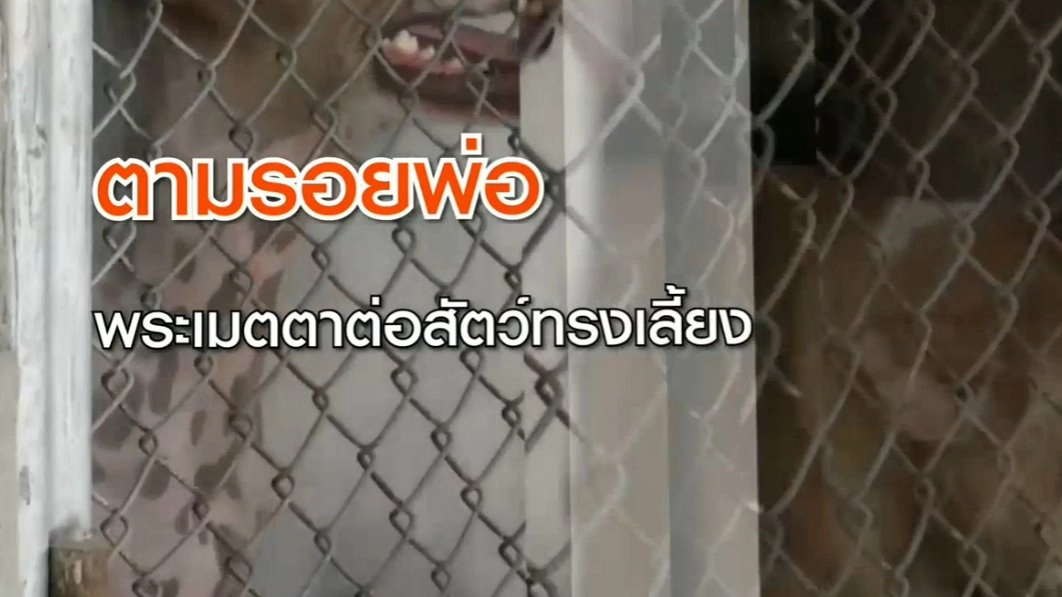 ตามรอยพ่อ : พระเมตตาต่อสัตว์ทรงเลี้ยง