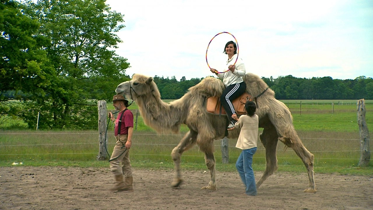 สัตว์โลกแสนรู้  ตอนที่ 8