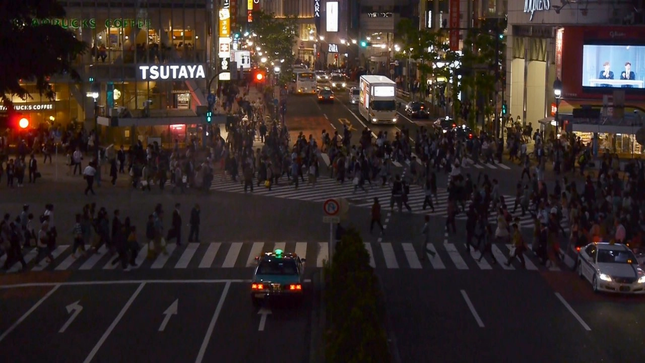 เนโทรโปรลิส ตอน โตเกียว จากป่าคอนกรีตสู่ป่าธรรมชาติ