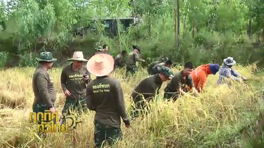 ประเด็นข่าว ( 8 พ.ย. 59)