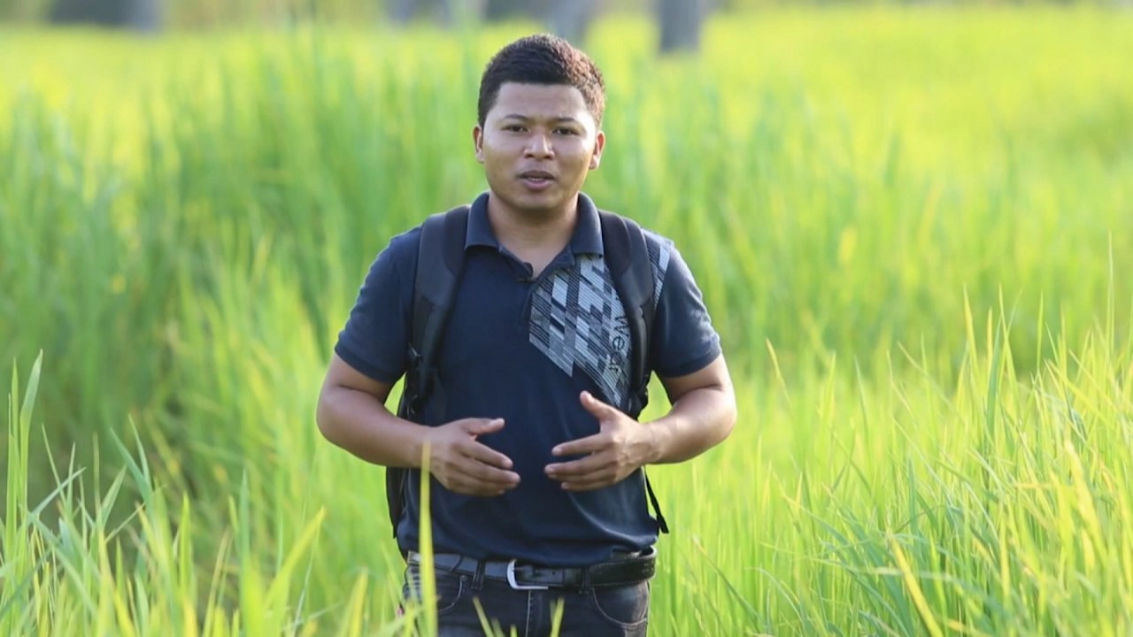 บุญออกพรรษาบ้านไทย, ร้อยภาพพ่อ, ปรับทิศ ชาวนาไทย