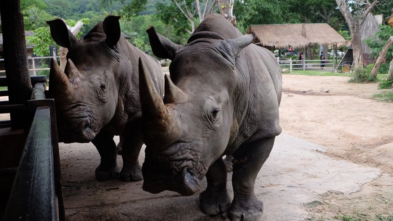 สวนสัตว์...แหล่งความรู้คู่ความสนุก ตอน 2