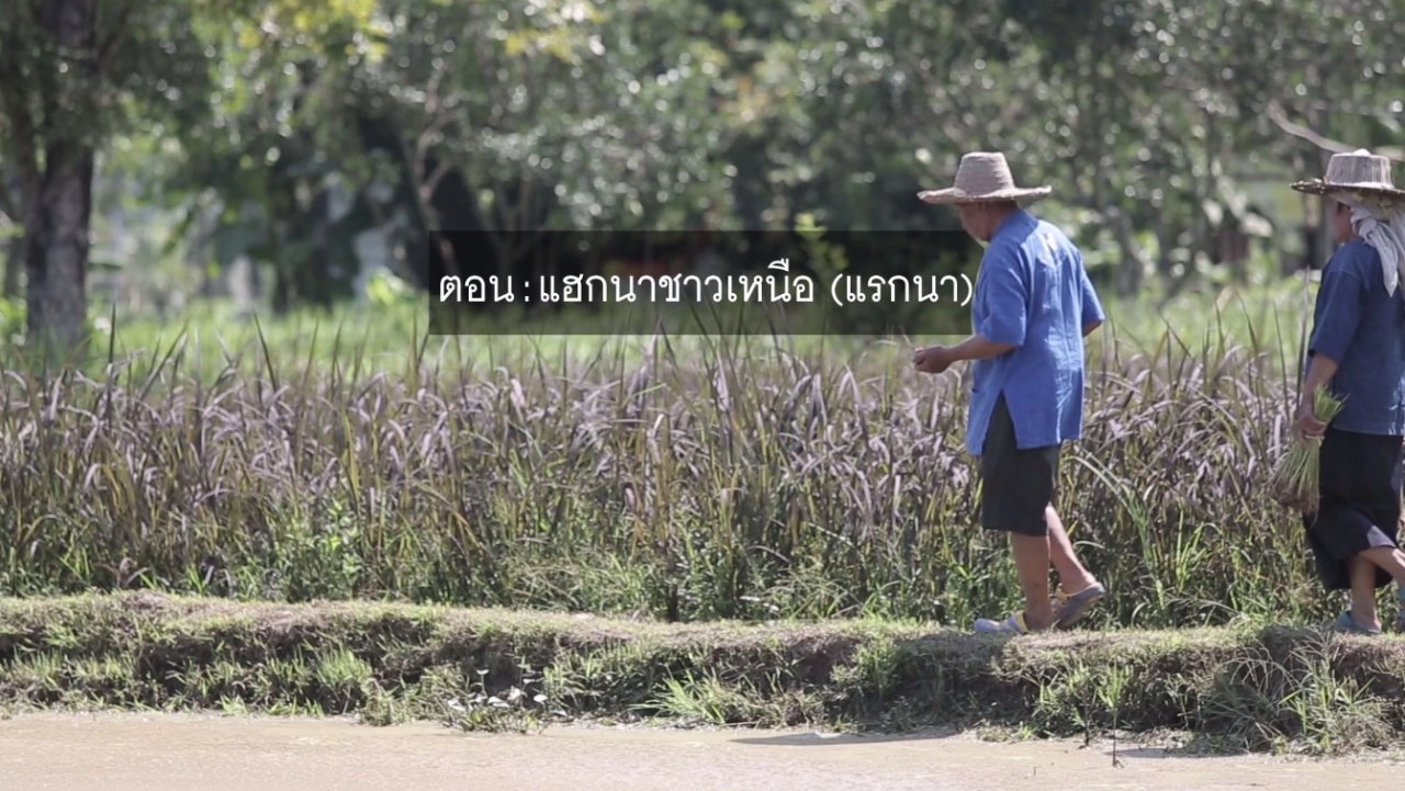 ​แฮกนาชาวเหนือ (แรกนา)