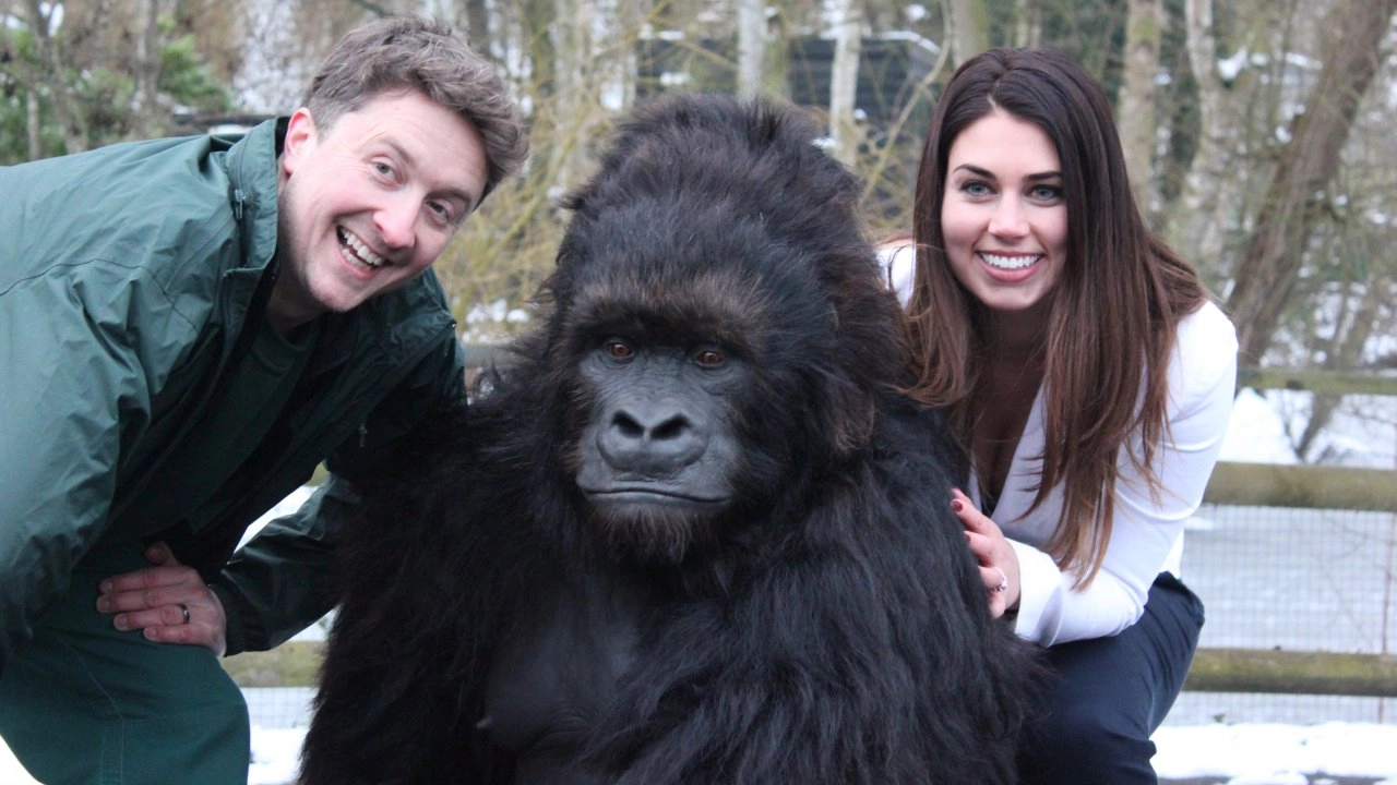 เราคือมนุษย์วานร ตอน นักปีนบันไดสังคม