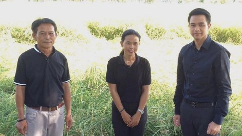 "นาแปลงใหญ่" ...? สูตร "ลดต้นทุน เพิ่มอำนาจต่อรอง"