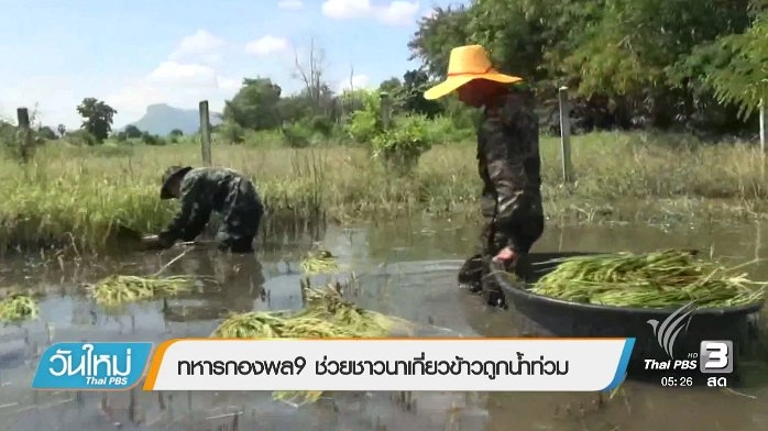 ประเด็นข่าว (17 พ.ย. 59)