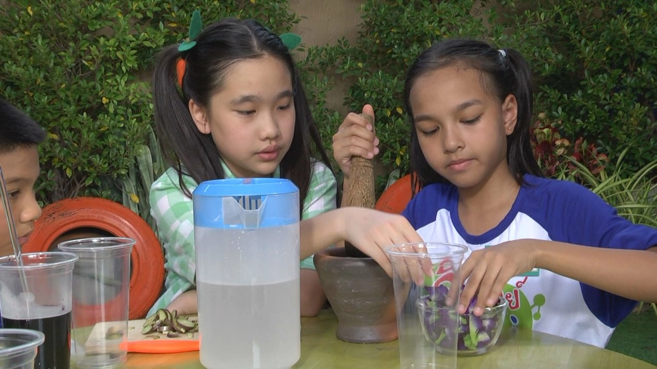 อินดิเคเตอร์