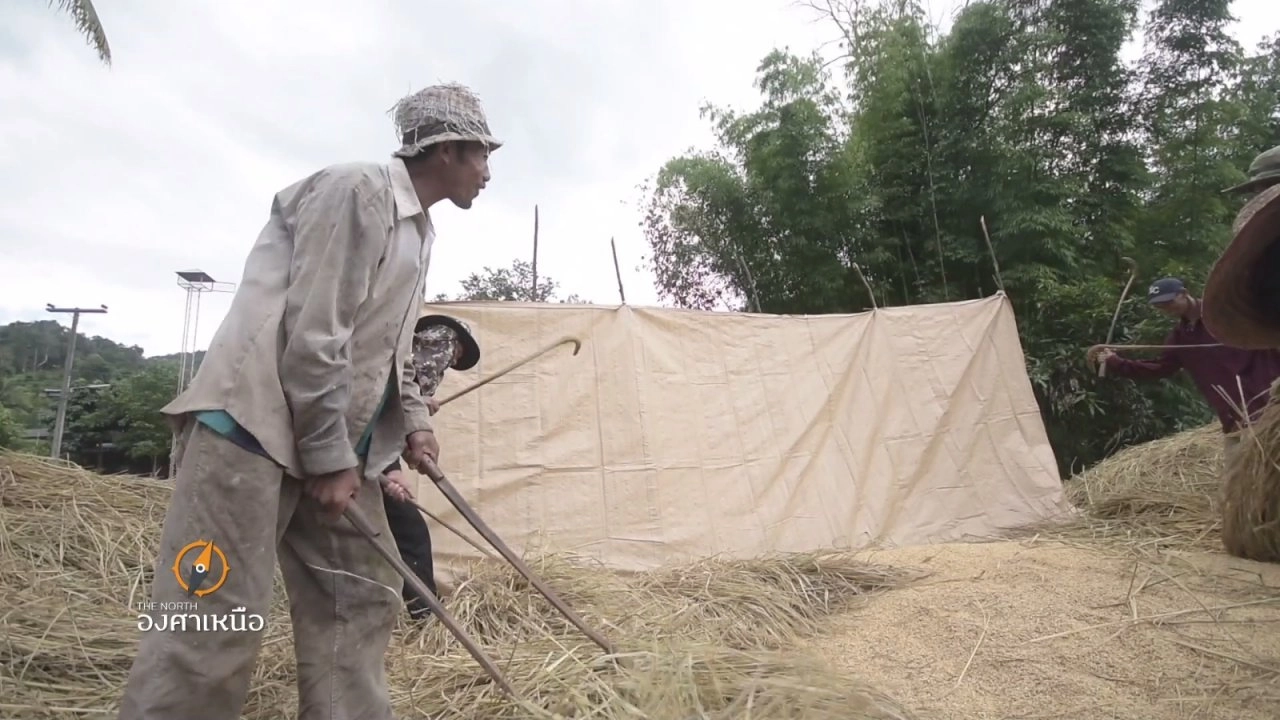 ธนาคารข้าวของพ่อ​