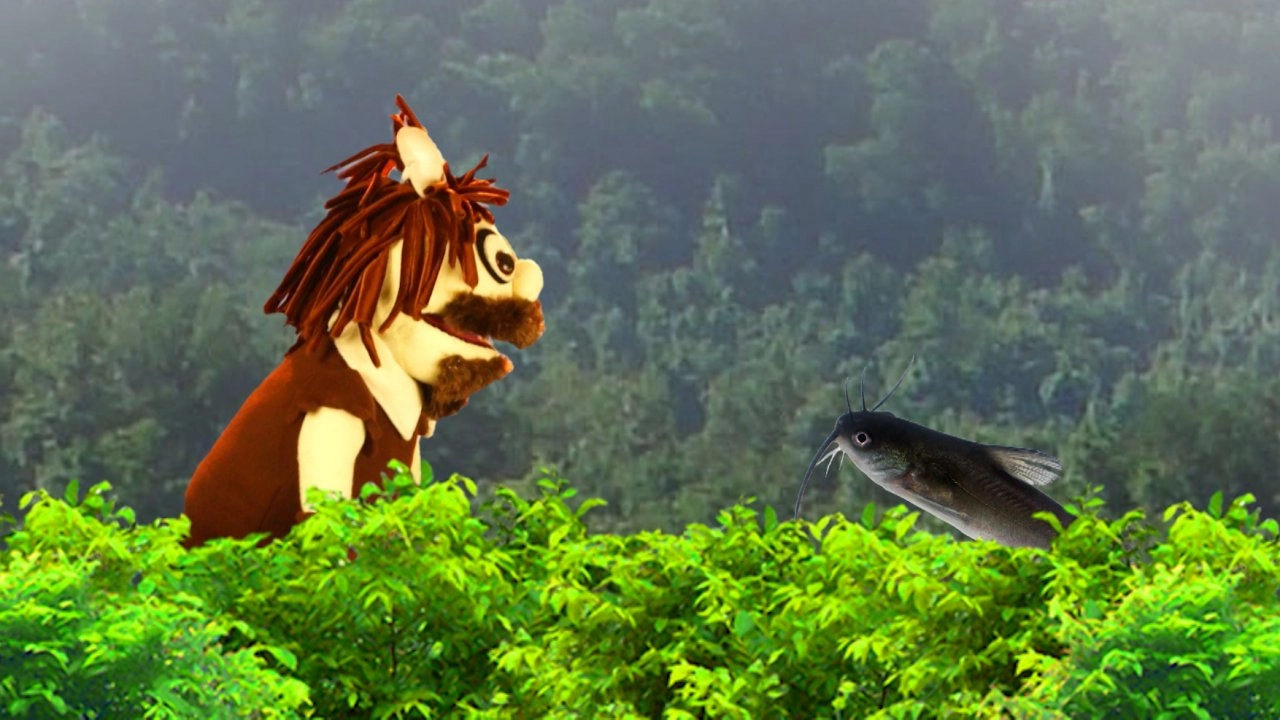 หนุ่มน้อยนูนุก