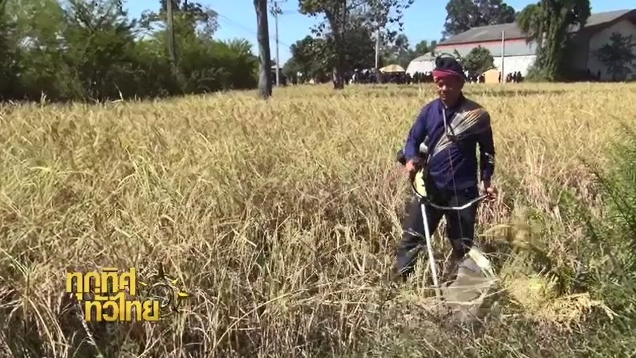 ประเด็นข่าว ( 21 พ.ย. 59)