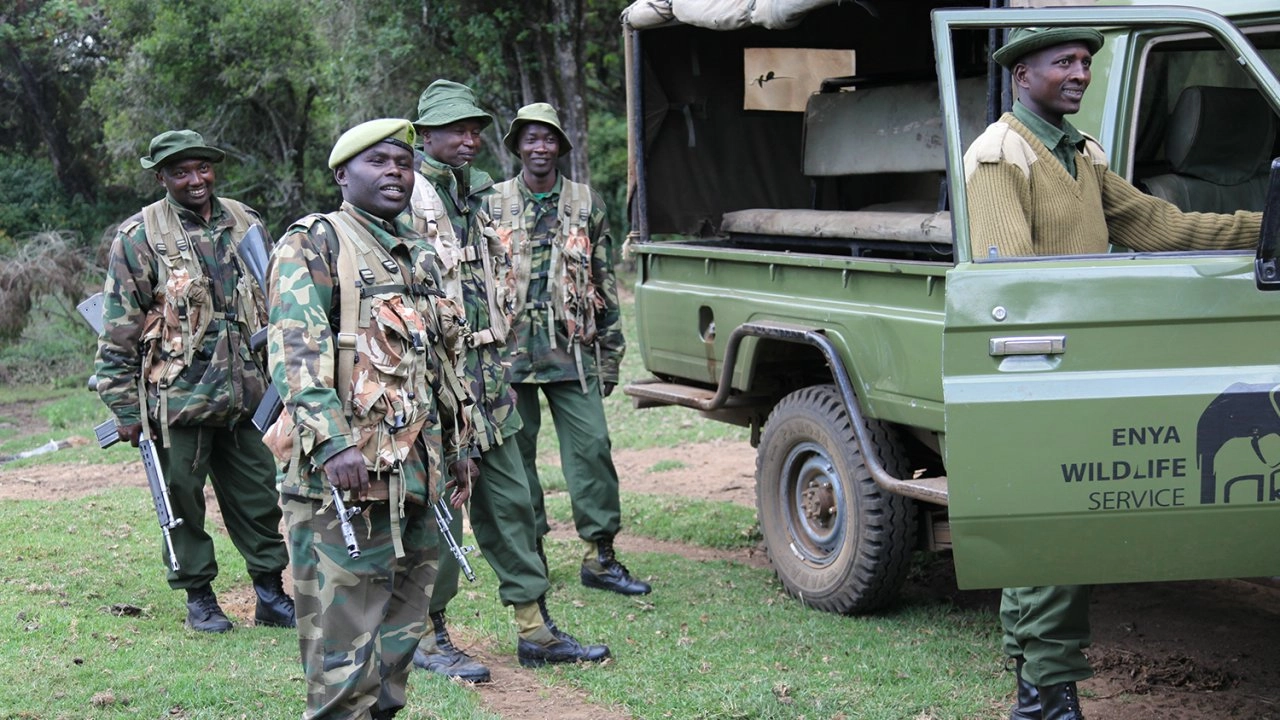 โลก 360 องศา ตอน การลักลอบล่าสัตว์บนยอดเขาเคนยา