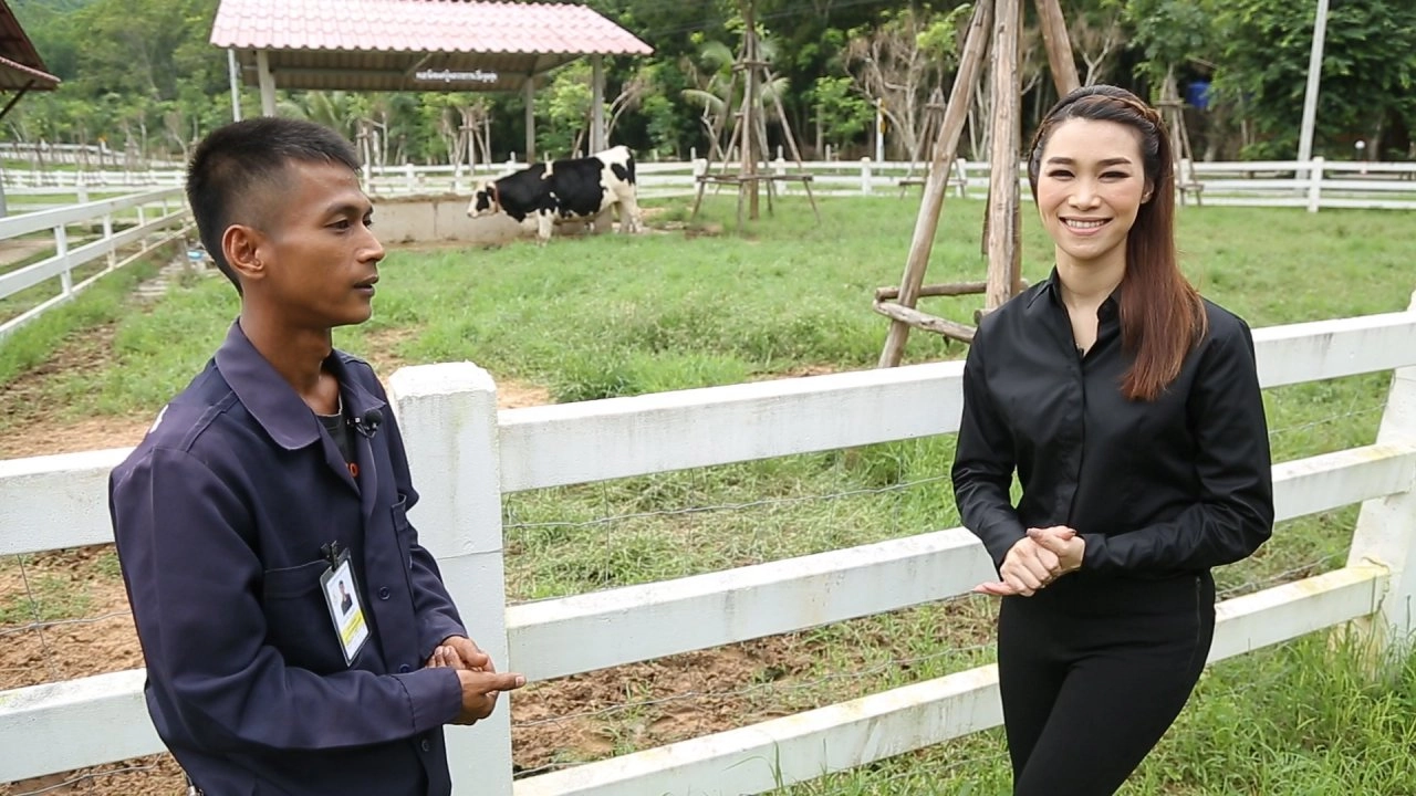 โครงการชั่งหัวมัน ตามพระราชดำริ, น้ำอัญชัน