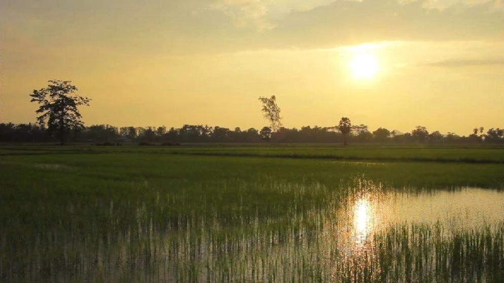 ความจริงของชนบทไทย