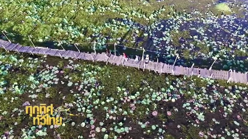 ประเด็นข่าว ( 24 พ.ย. 59)