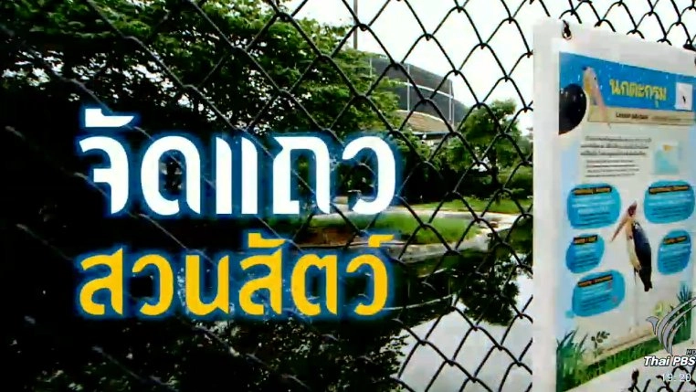 จัดแถวสวนสัตว์