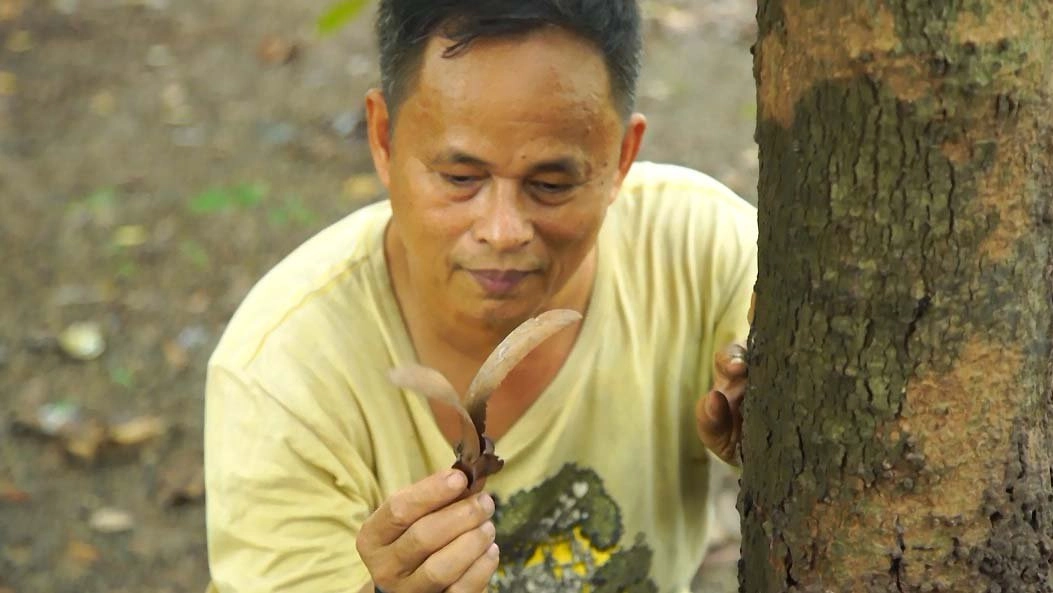 อ.ณรงค์ มนุษย์ยางนา