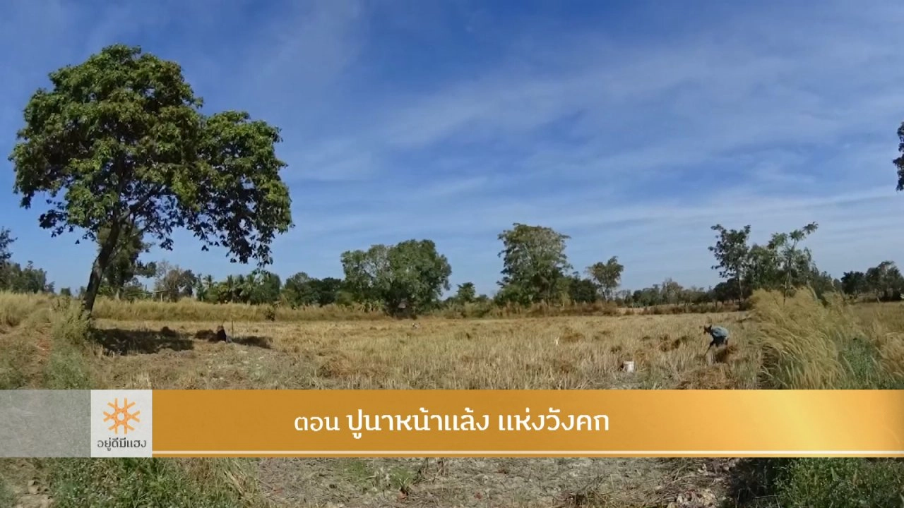 ปูนาหน้าแล้ง แห่งวังคก