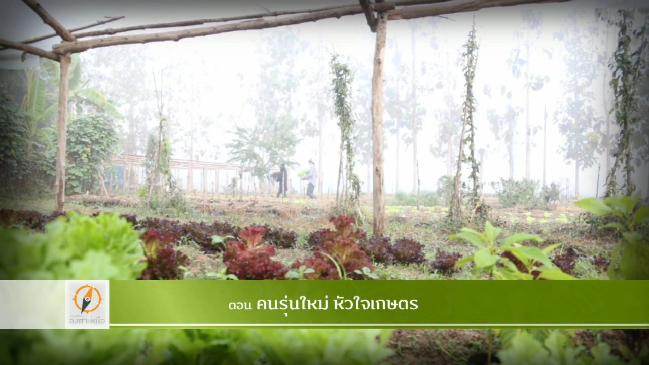 คนรุ่นใหม่ หัวใจเกษตร