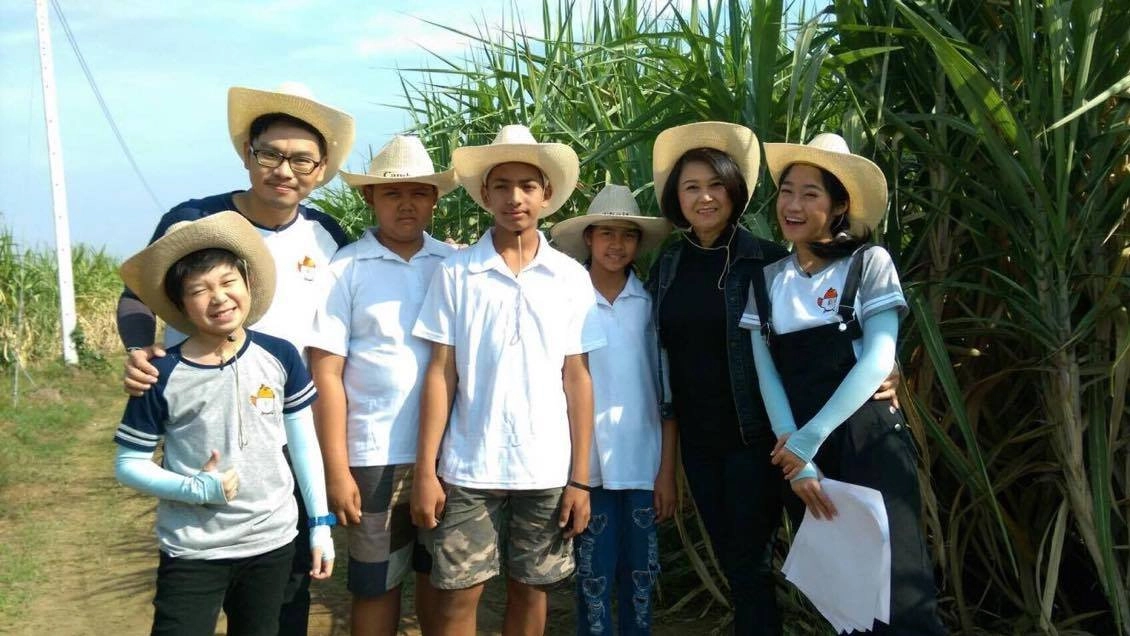 ไร่ข้าวโพด