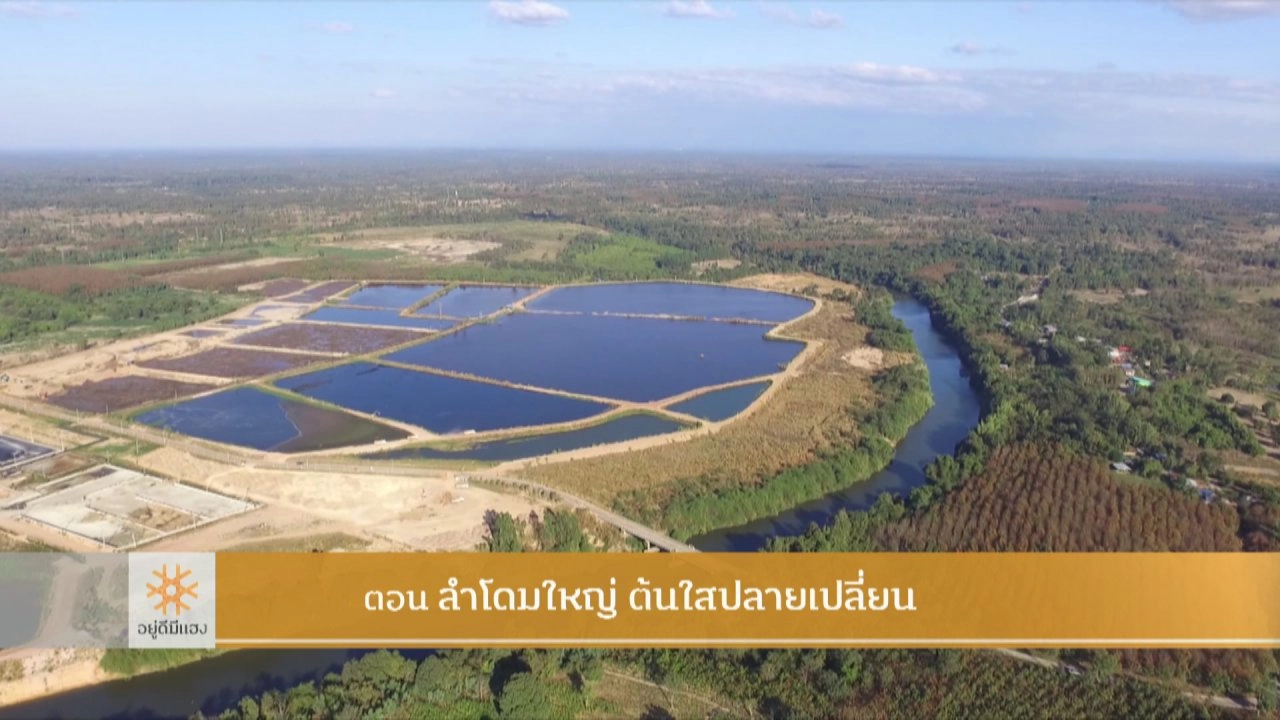 ลำโดมใหญ่ ต้นใสปลายเปลี่ยน​