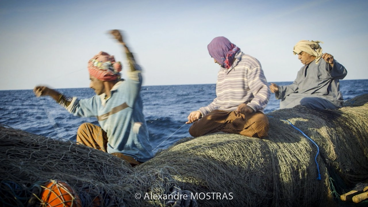 วัฒนธรรมที่ร้อยเรียง ตอน รัฐสุลต่านโอมาน