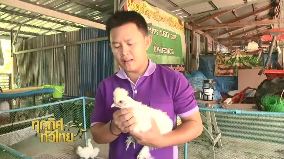 ประเด็นข่าว ( 23 ก.พ. 60)