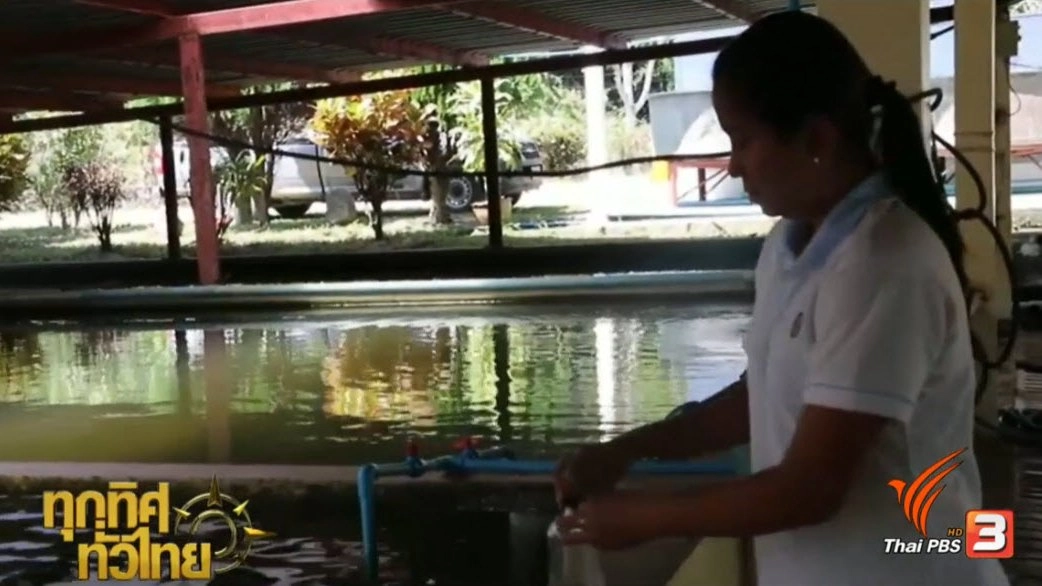 ประเด็นข่าว ( 24 ก.พ. 60)