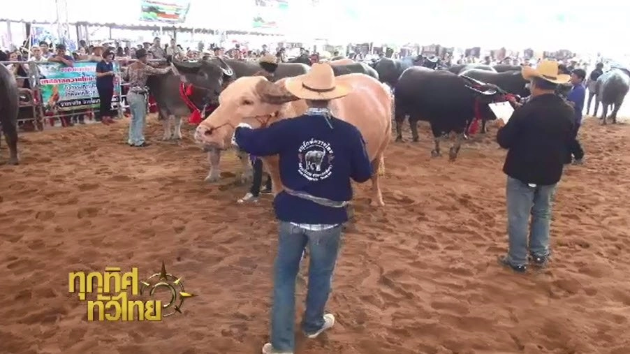 ประเด็นข่าว ( 28 ก.พ. 60)