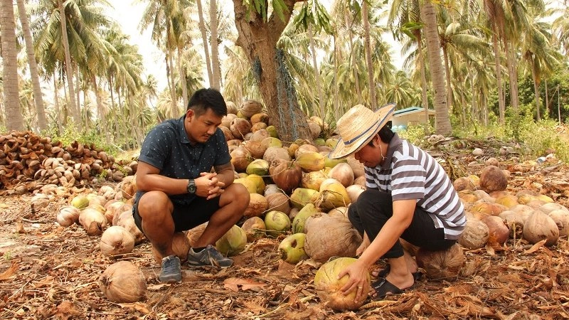 ทั่วถิ่นแดนไทย
