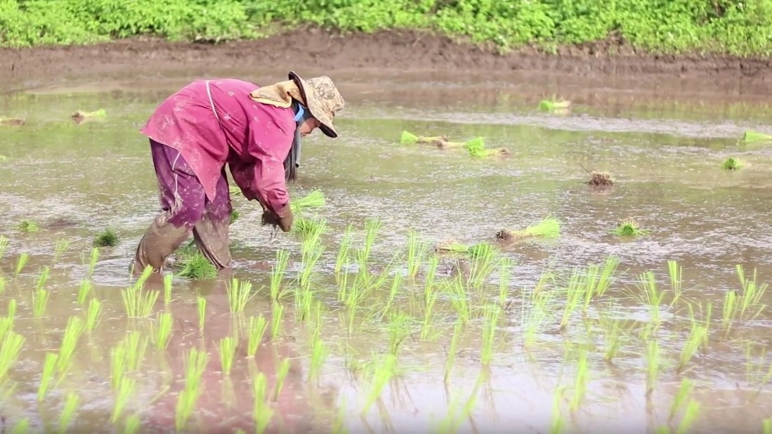 คนไม่มีสิทธิ์