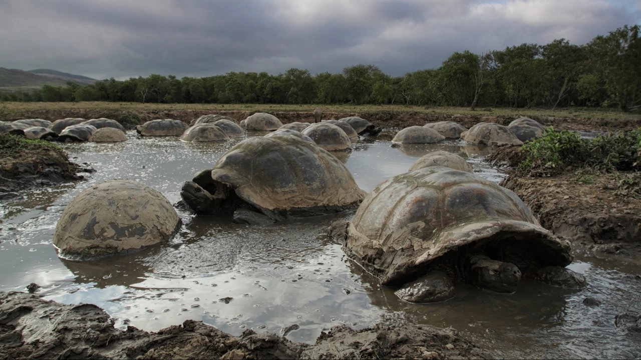 อัศจรรย์หมู่เกาะกาลาปาโกส ตอน จุดเริ่มต้น
