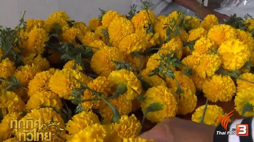 ประเด็นข่าว ( 1 มี.ค. 60)