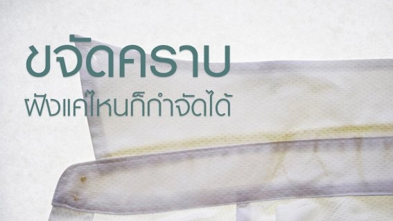 โรคชอบเก็บสะสมของ, ขจัดคราบเสื้อ ฝังแค่ไหนก็กำจัดได้, เมนูไก่ยำกบ