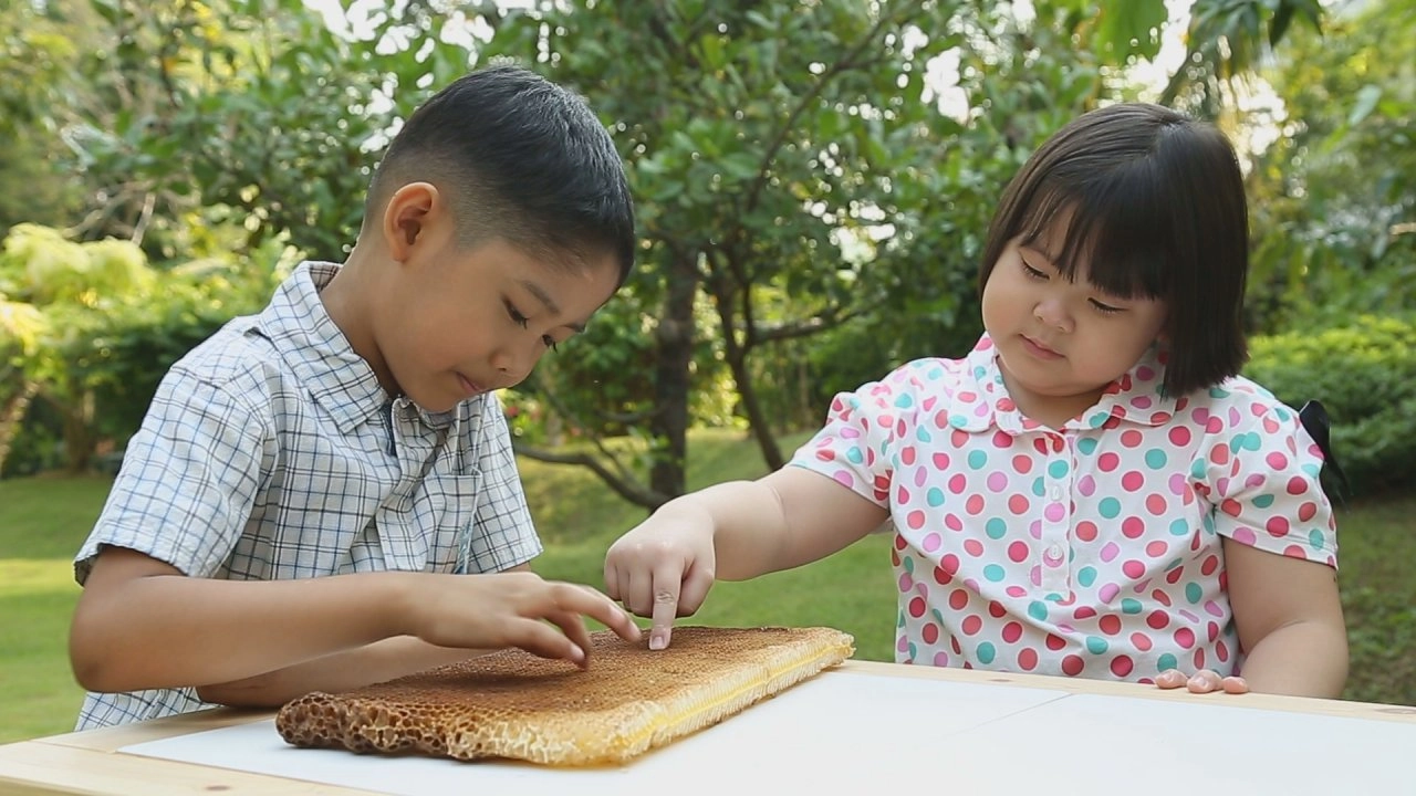 รังผึ้ง