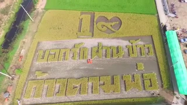 ประเด็นข่าว (14 มี.ค. 60)