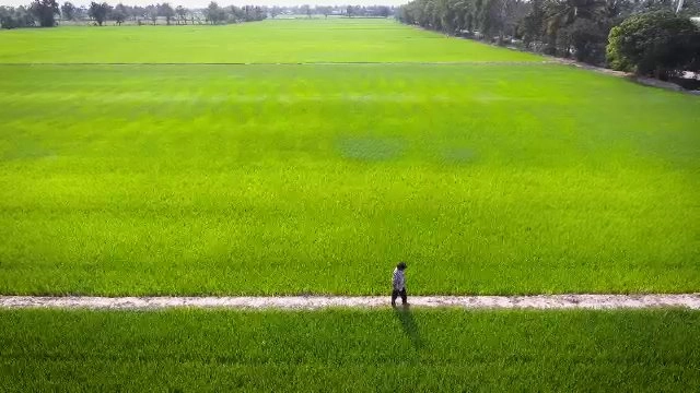 วิกฤตชาวนาไทยจากผลกระทบภัยแล้ง