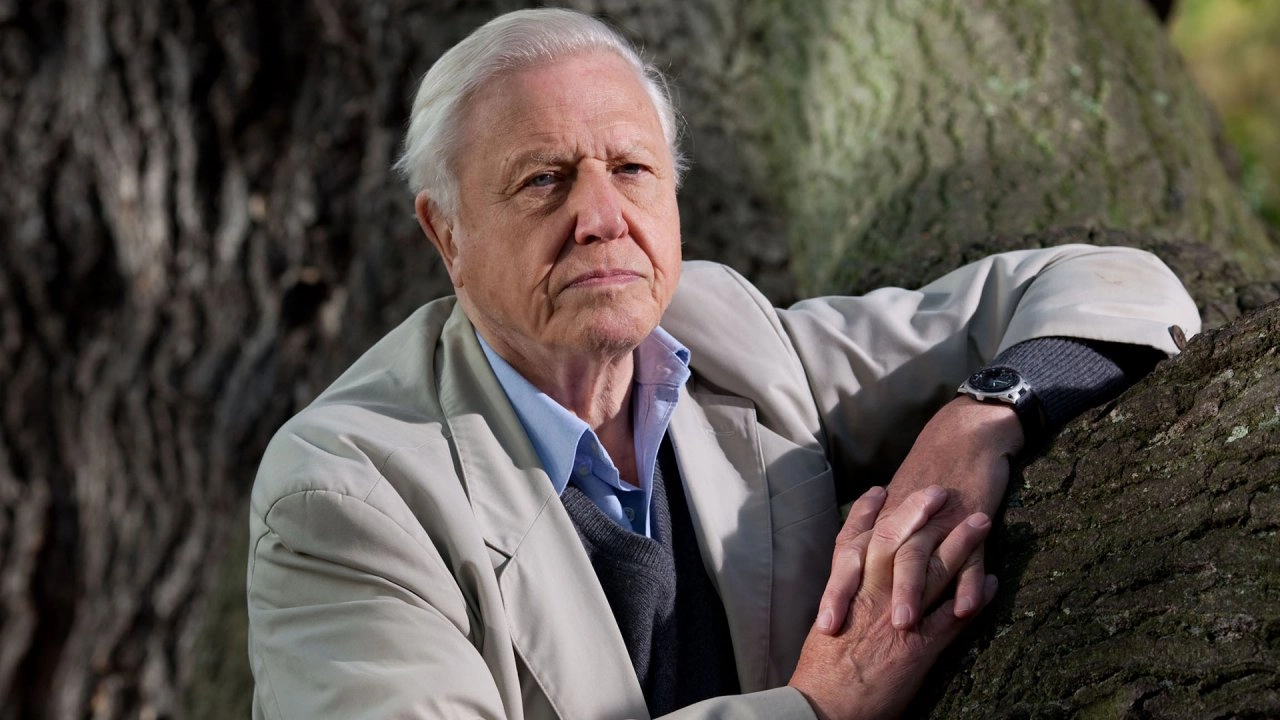 อัศจรรย์อาณาจักรแห่งพืช ตอน คลายปมปริศนา