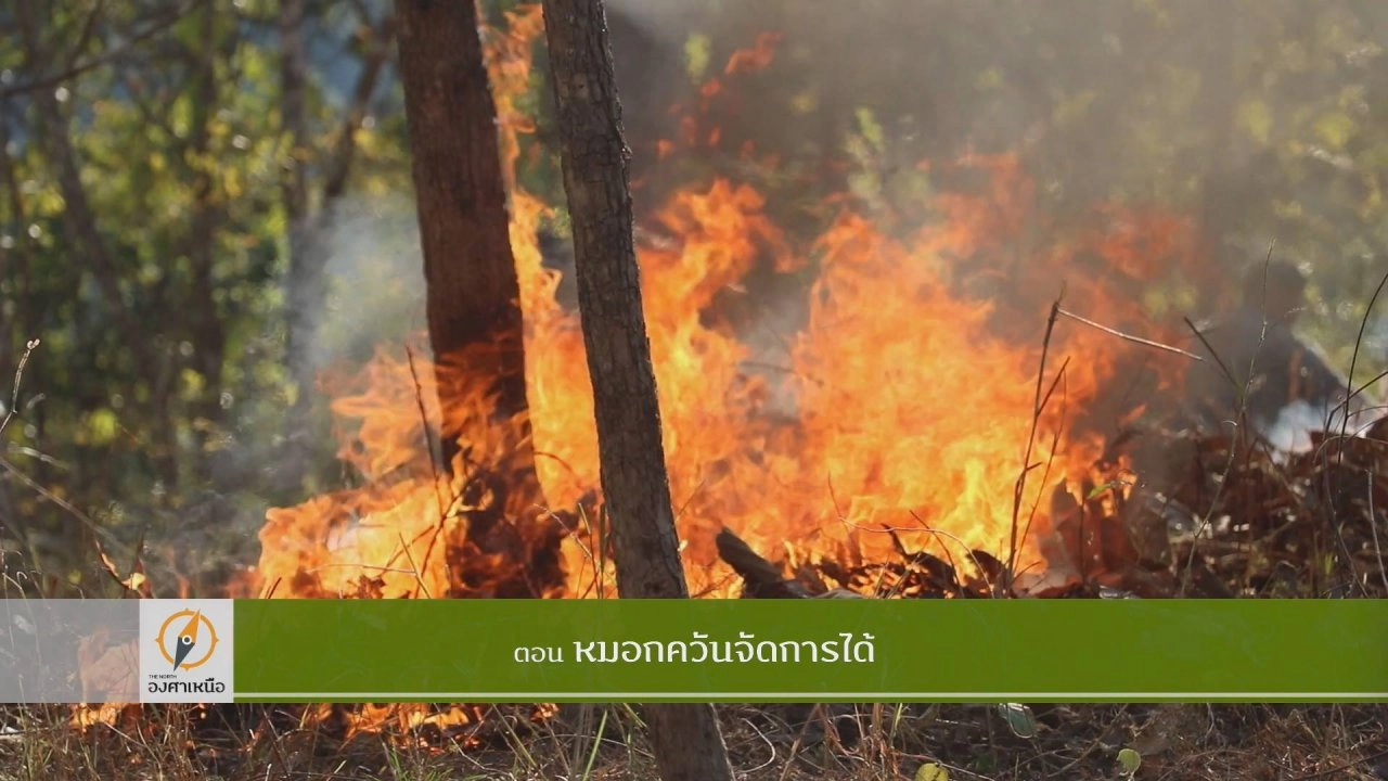 หมอกควันจัดการได้