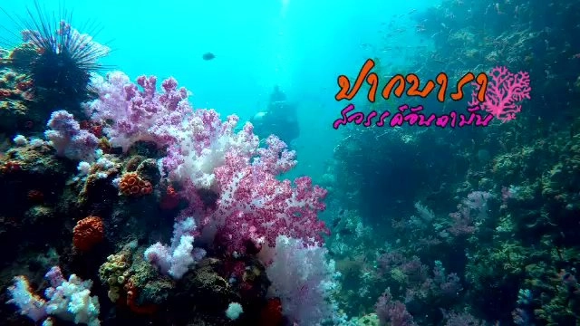 ปากบารา สวรรค์อันดามัน