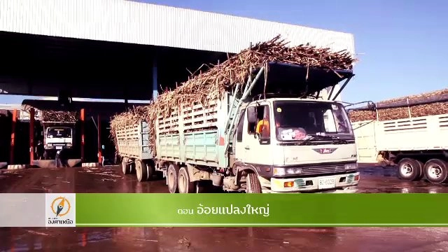 อ้อยแปลงใหญ่