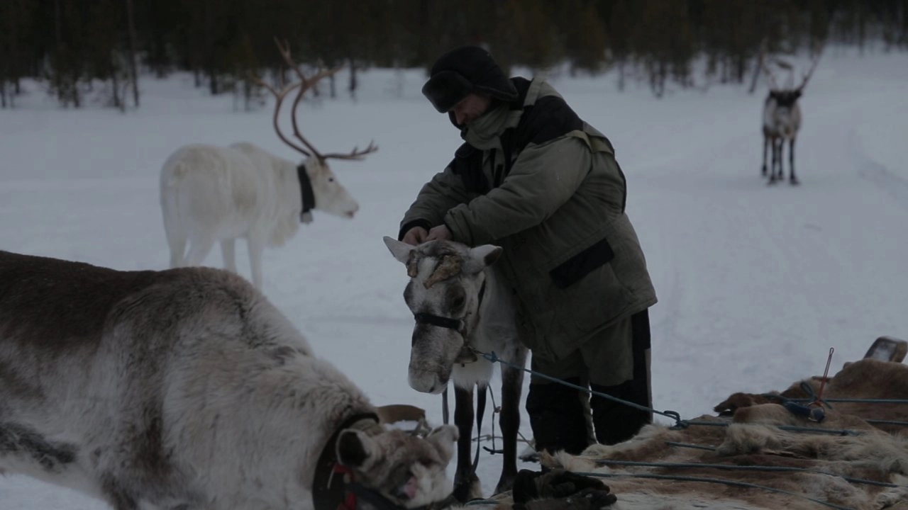 สุดแดนรัสเซียที่ขั้วโลก
