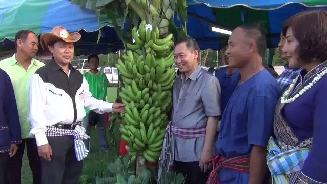 ประเด็นข่าว (28 มี.ค. 60)