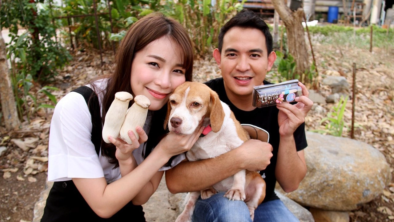 เห็ดออรินจิ