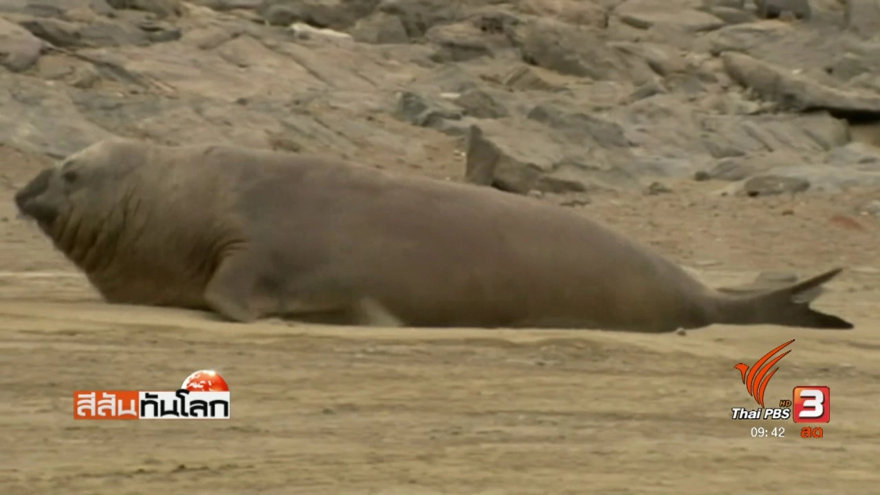 ประเด็นข่าว (25 มี.ค. 60)